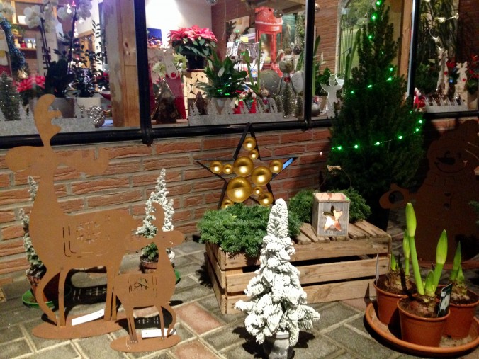 Weihnachtsbaum_Weihnachsbäume_Erwitte_4